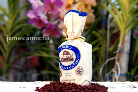 amber plus orchid back 4 copyright