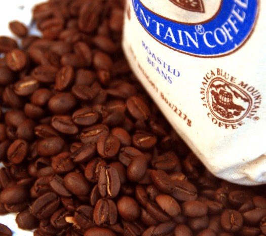 amber plus orchid back 6 adjusted second pic